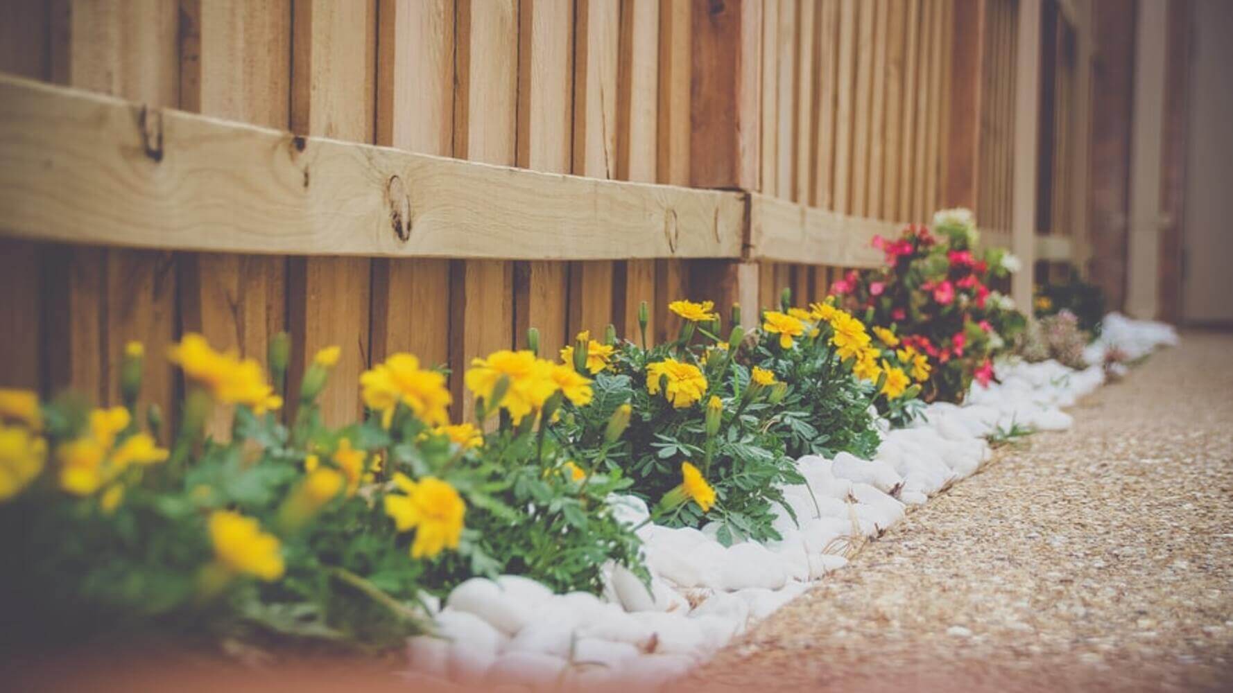 6 Landscaping Tips That Are Sure to Add Value to Your Home