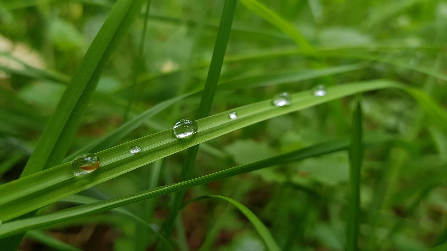 How to Take Care of Your Yard in the Cold Weather